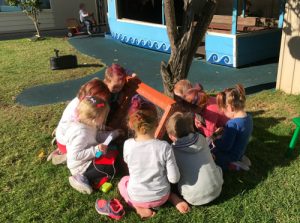 play yard glandore child care