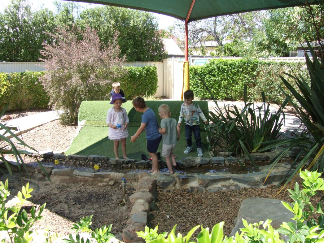 nature yard curriculum