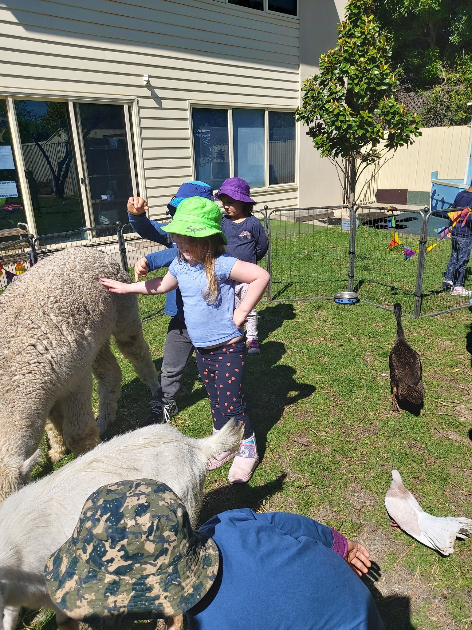sidePre K farm